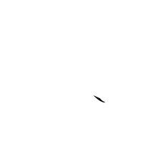 100% Australian Owned